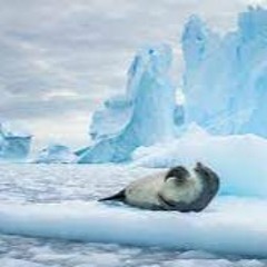 Iceslope