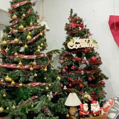 Không Cần Treo Tất (original)