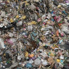 JUNK SLUT