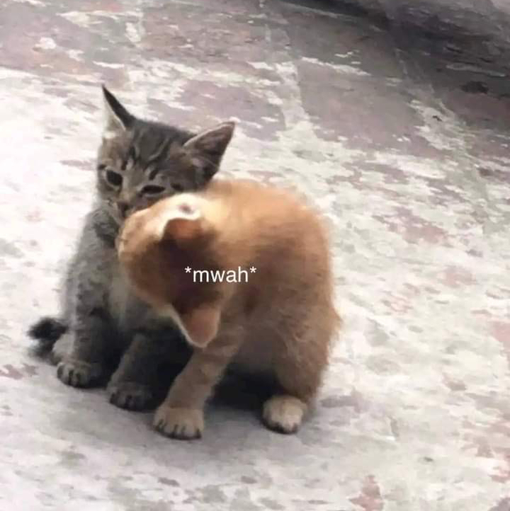 Girl wit the tattoo (Jersey Club Remix) [PROD BY WHAHAPUNBEATZ]