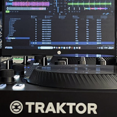 Techno - Micelio