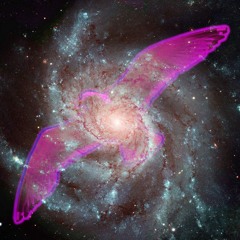 Great Bird of the Galaxy