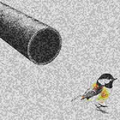 BIRDTUBE
