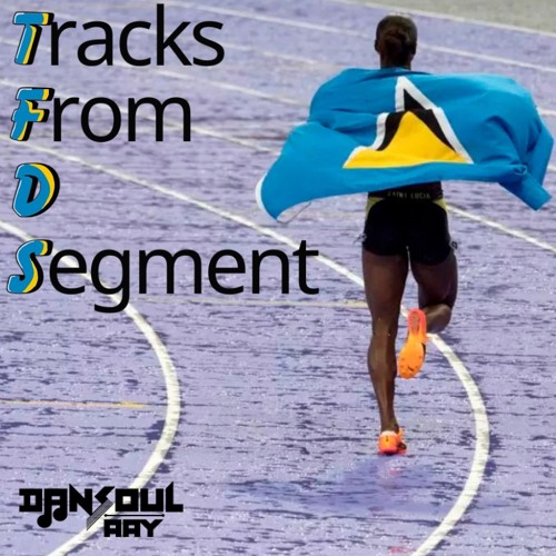 Tracks From D Segment