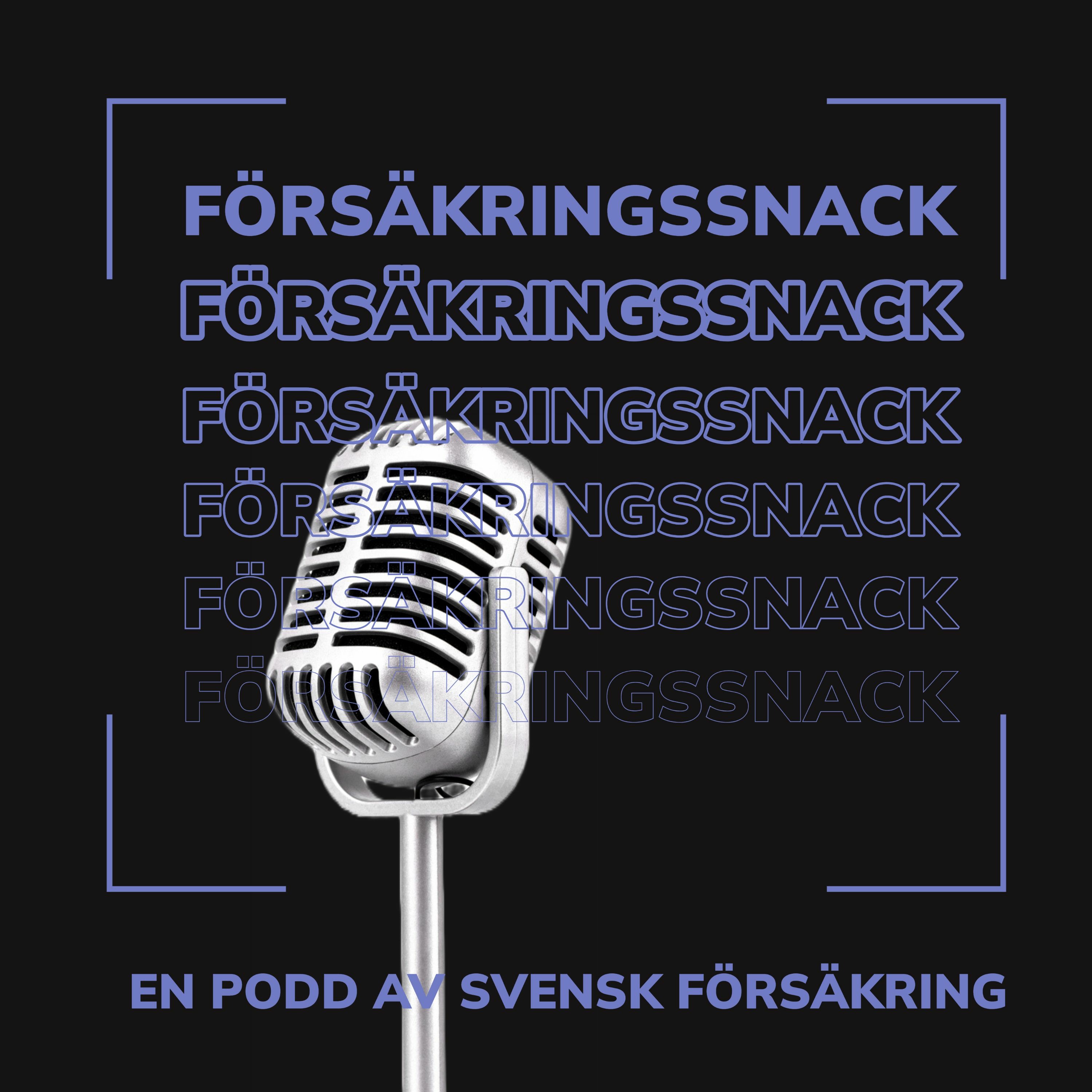 Försäkringssnack