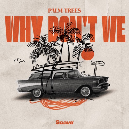 Palm Trees - Why Don't We