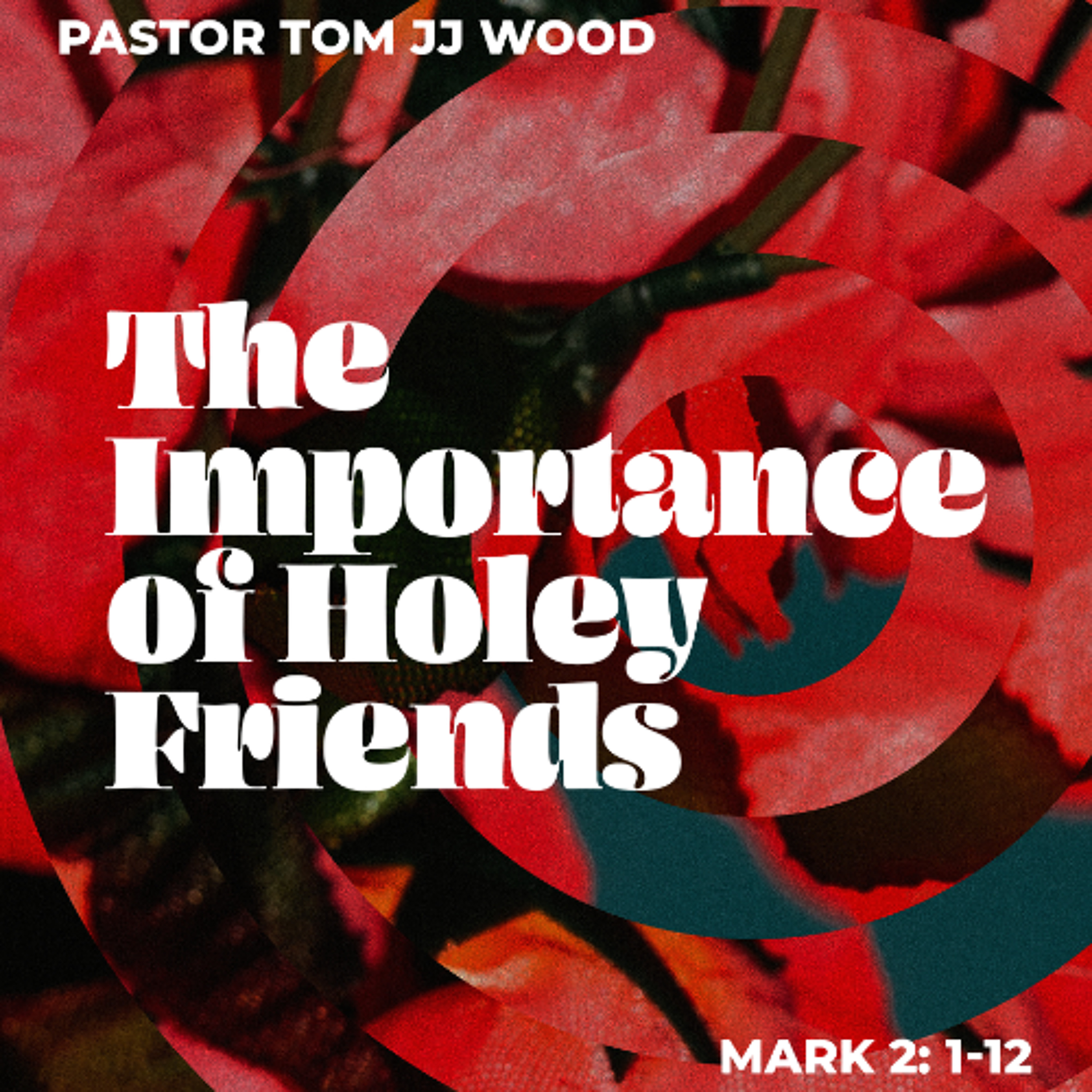 Standalone Message: The Importance of Holey Friends - Pastor Tom JJ Wood (06/14/2026) episode artwork