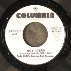 Programmed For Love (Andy Kidd's Dreamy Dub Program)
