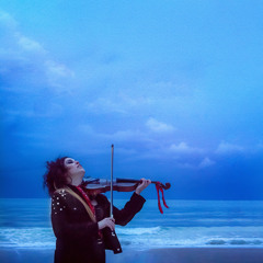 Lovely Paradise Violin Triumph