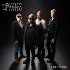 Pixies - 9作品まとめ売り【音楽】 Stream PIXIES music | Listen to songs, albums, playlists for free