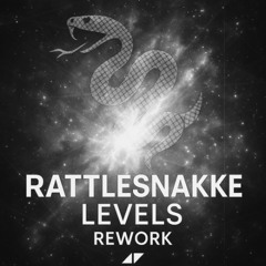LEVELS (RATTLESNAKKE LATIN REWORK) FREE DL <3