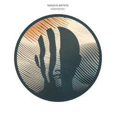 PREMIERE: Conrado Stein - Rumbo