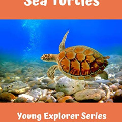 View PDF 📚 Sea Turtles: Young Explorer Series by  Diana Kanan [EBOOK EPUB KINDLE PDF