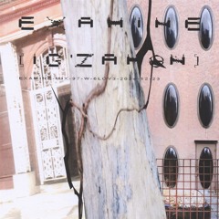 Examine Archive