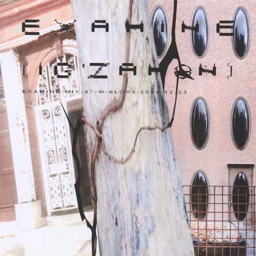 Examine Archive