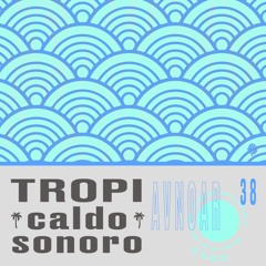 TropiCaldo Sonoro 038 - Avnoar