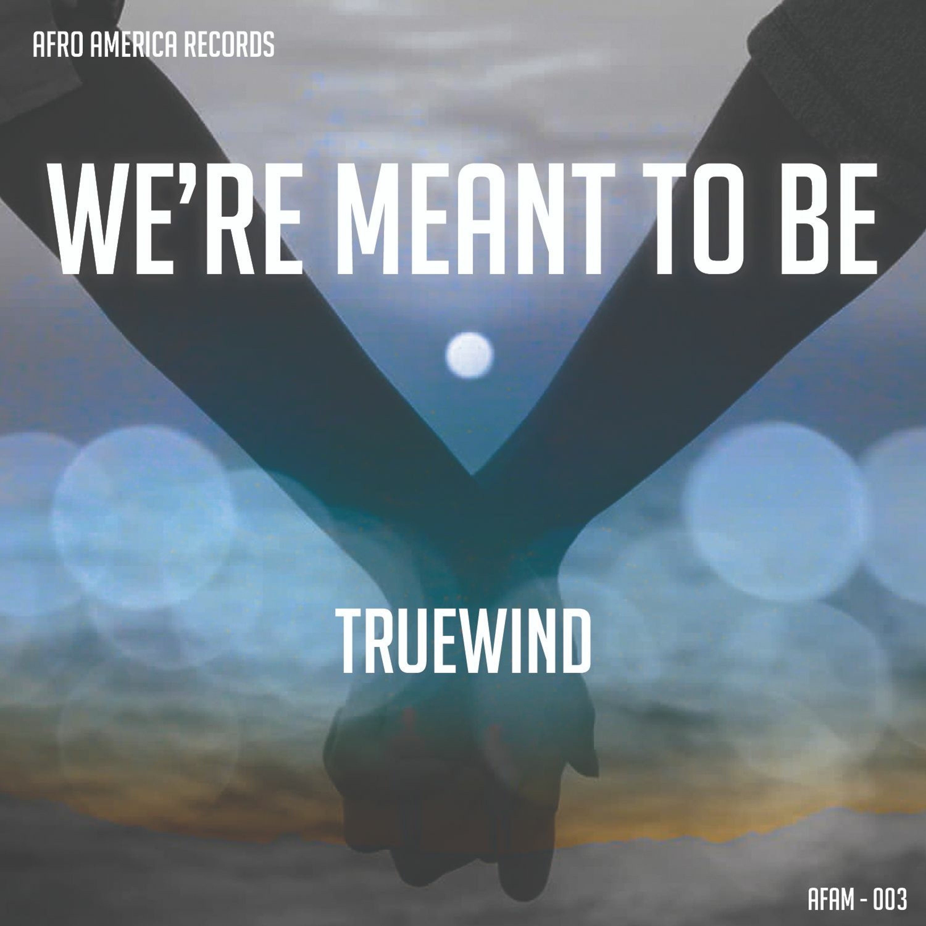 We're Meant To Be (Original Mix) - TrueWind episode artwork
