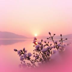 Something So Sweet In Your Way