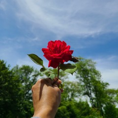 Nei Akata - Teidy Boy_2022