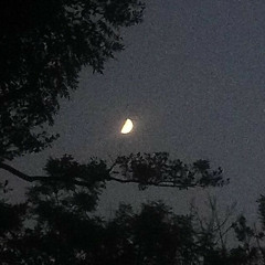 كنت اقول المفارق بينا مستحيل ):