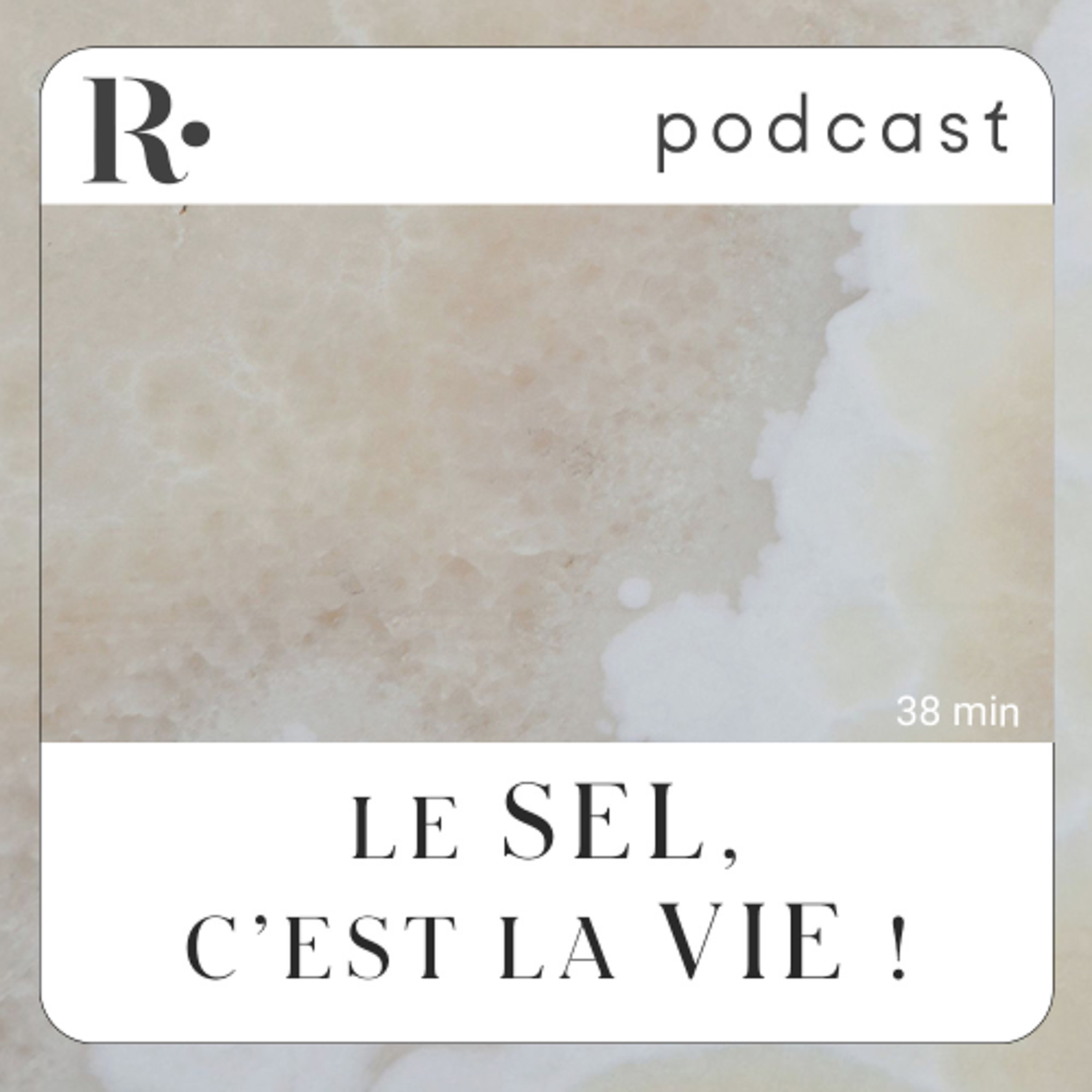 Le sel, c'est la vie ! - Isabelle Andrivet