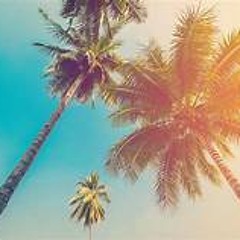 Stoner McGee - 8AM in South Beach