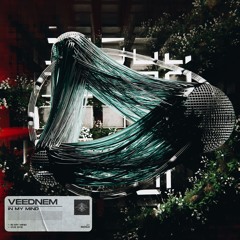 Veednem - In My Mind