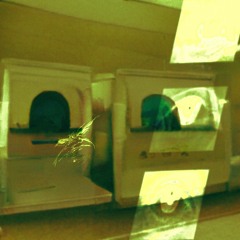 how2staysafeonthenet