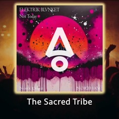 Elektrik BLVNKET  - Not Today