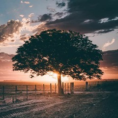 Old (Prod. Pieper Beats)