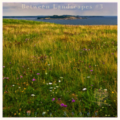 Between Landscapes #3