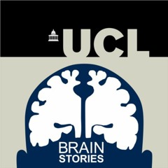 Brain Stories - Episode 5: Tamar Makin on Brain Plasticity