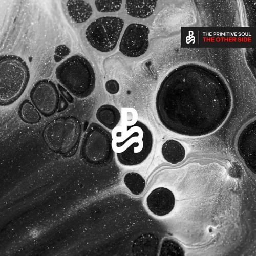 PREMIERE: The Primitive Soul - The Other Side (Original Mix)