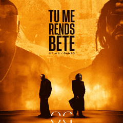 TU ME RENDS BÊTE, GIMS FT DAMSO  (EXTENTED)