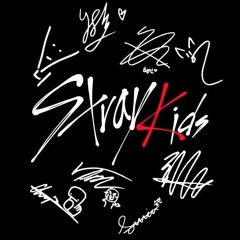Mix- Mixtape/ Miroh/ SKZ2020/Go life/ In life/Noeasy/ Oddinary/ Circus/The Sound