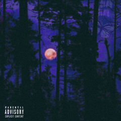 Circles (Slowed & Reverbed)
