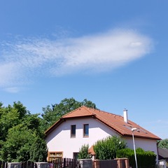fish in the sky