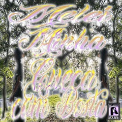 @pietrxshawtyy 💞 - 🤖🤖 meleiminhacuecacombosta #SILKSWAGSPELL w/ koboriboi