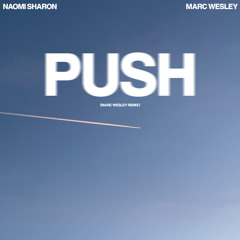 Naomi Sharon - Push (Marc Wesley Remix)