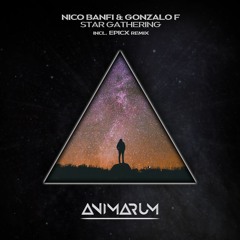 Nico Banfi, Gonzalo F - Colossal (EPICX Remix)