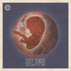 Silky Sunday Feat. Snoux - Whole World (Frankey & Sandrino Remix)