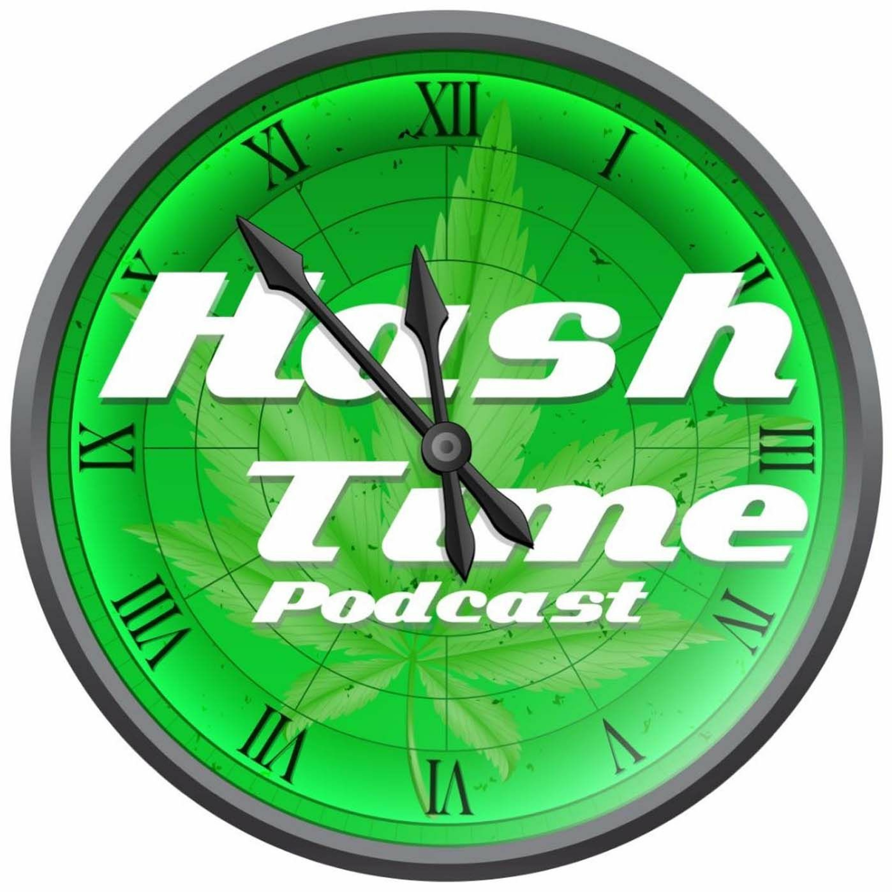 Melted Minds & Chill Times #02 | Hash Time Podcast