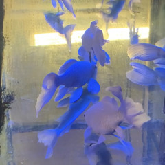 cinema strip - Steady