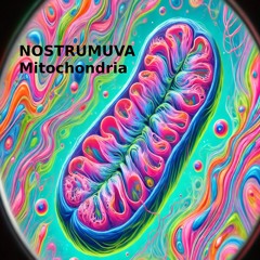 Mitochondria