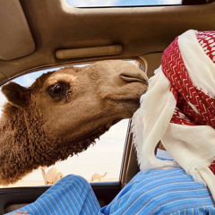 قالت آحبك عشانك تحب الصفر 🤍.