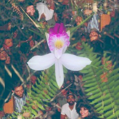 Good Company (feat. Awaleimoi & LoWolf)(Week 11) Prod. Isaiah Mostafa