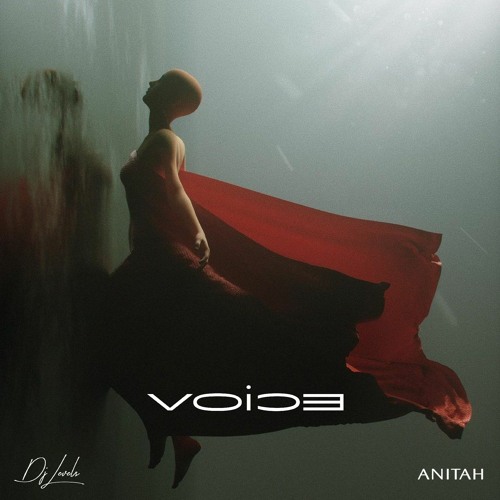 DJ Levels - Voice (Feat.  Anitah).mp3