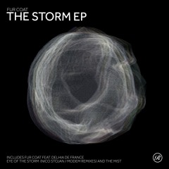 Fur Coat Feat. Delhia De France - Eye Of The Storm (Nico Stojan Remix) [Snippet]