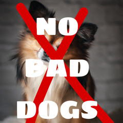 CATNIPK - Dgreezy1 //PROD. CT2\\ .m4a