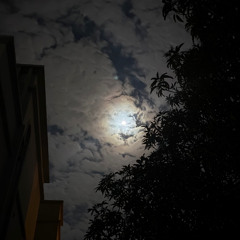 ‎⁨عبدالرحمن الريامي ـ احس عمري 2019  ( من فيلم علي و عليا  )⁩.mp3